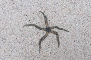 Keliling Lombok Dengan Motor Pasti Seru