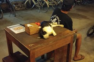 Jalan Jalan Malam di Mataram Paling Santai