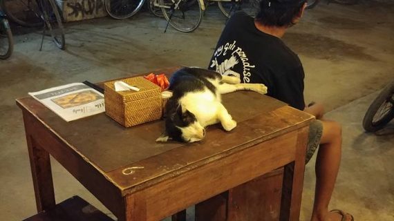 Jalan Jalan Malam di Mataram Paling Santai