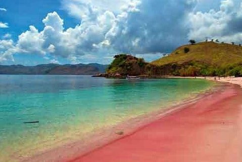 Open Trip Menuju Pink Beach Lombok