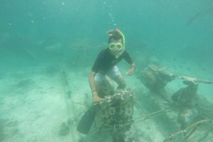 Paket Wisata Snorkeling Di Lombok