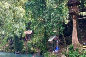 Masih Alami Wisata Alam Hutan Lindung Sesaot Lombok