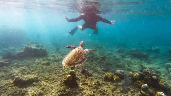 Melihat Gili Asahan Tempat Snorkeling Paling Cantik Di Lombok