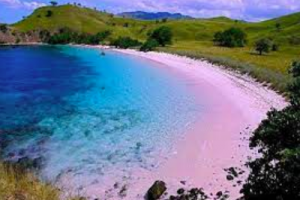 Mengapa Memilih Sewa Mobil Saat Liburan di Lombok?