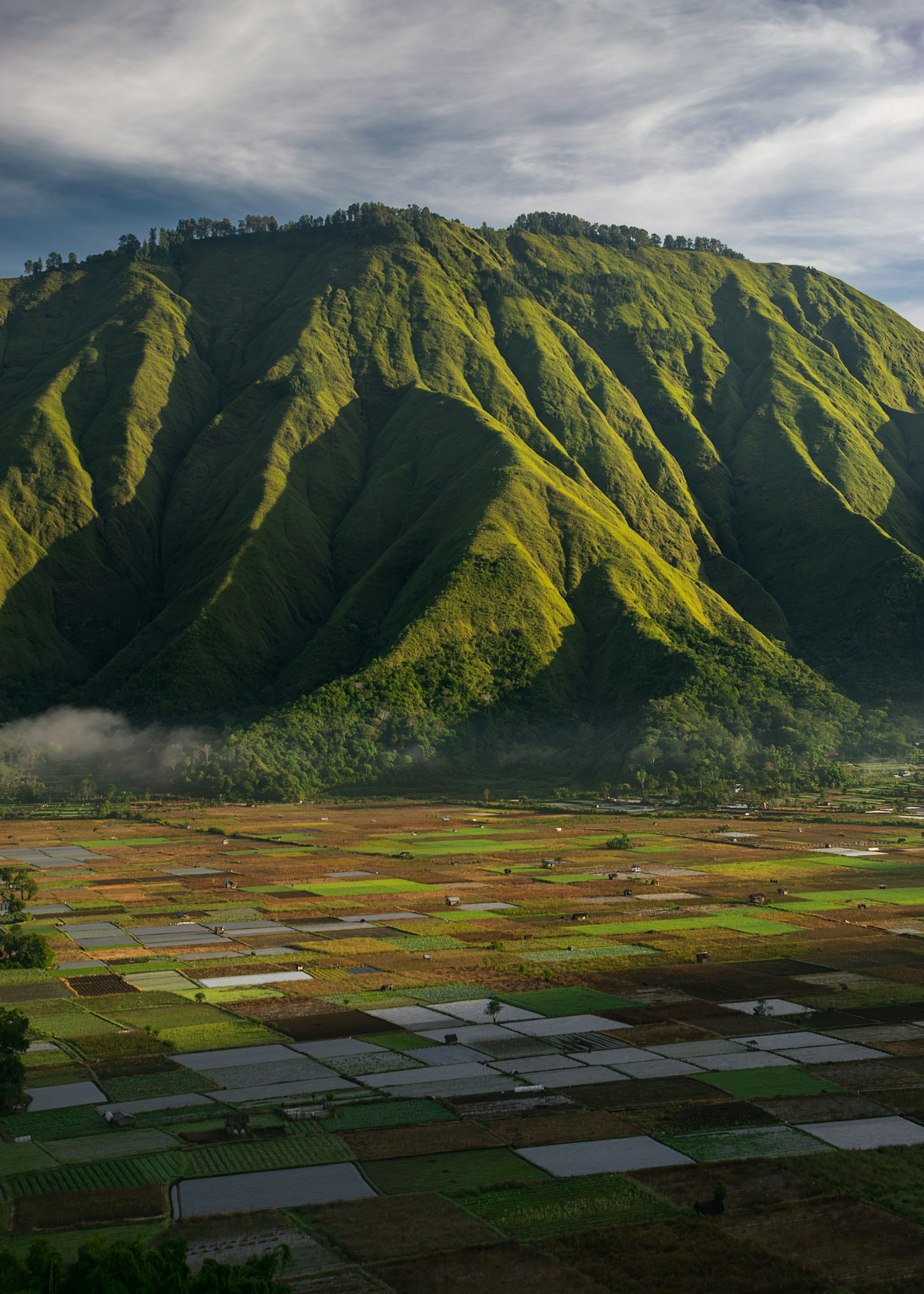 Pemandangan Bukit Selong dan lembah pertanian di Sembalun Lombok