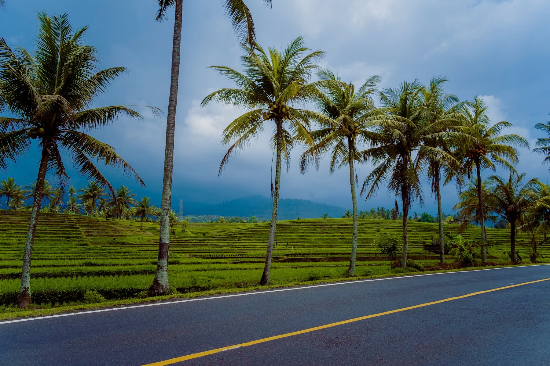 Jalan tropis yang diapit pepohonan sebagai ilustrasi rute menuju kawasan pantai