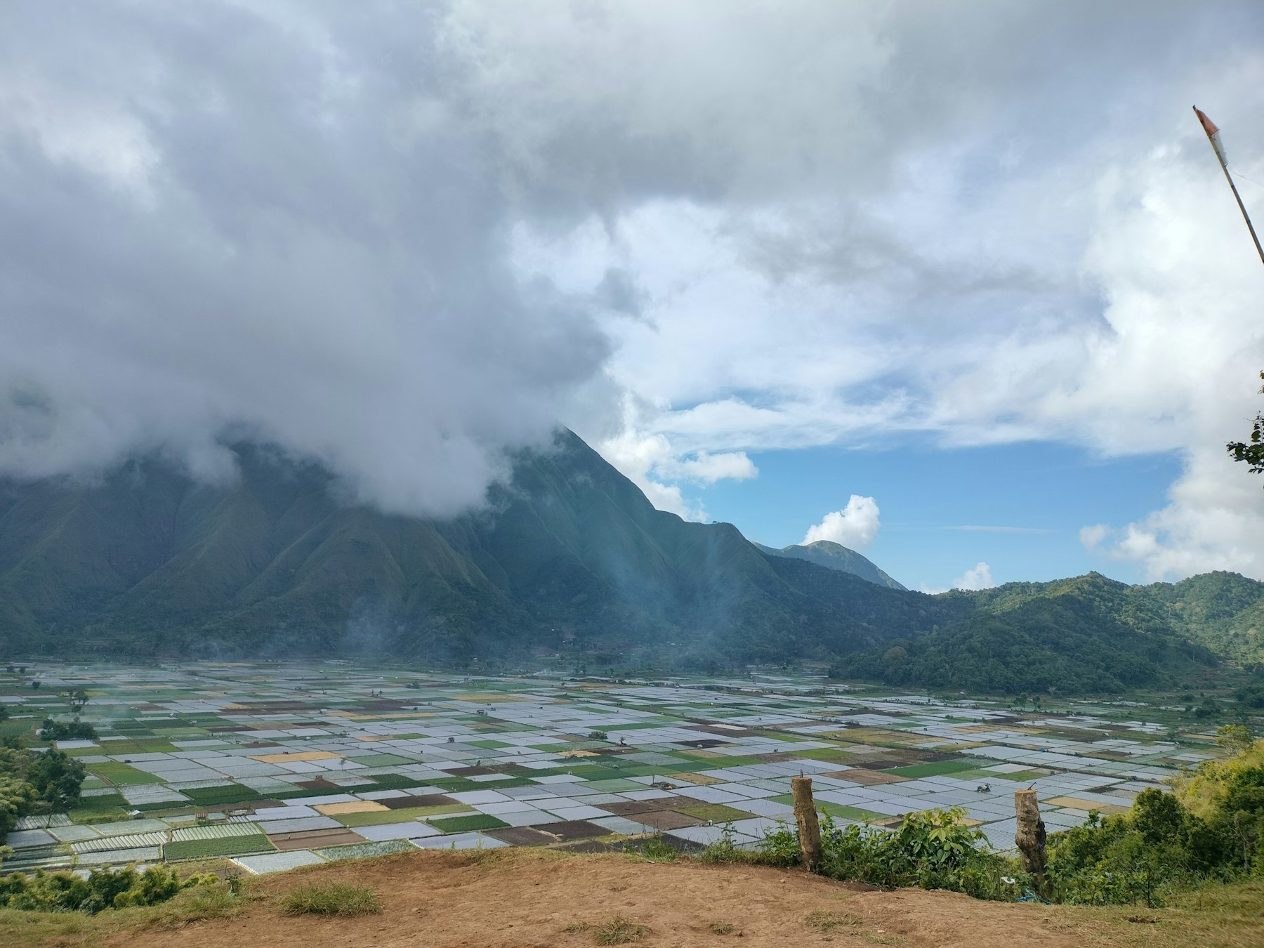 Hamparan sawah dan pegunungan berkabut di Sembalun Lombok
